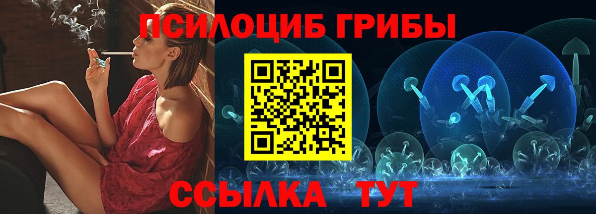 Черкесск  купить наркоту  Вход с VPN  Псилоцибиновые грибы Magic Shrooms 